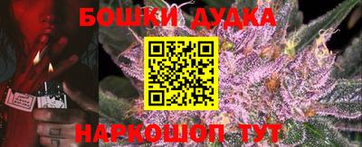PSILOCYBIN Сланцы